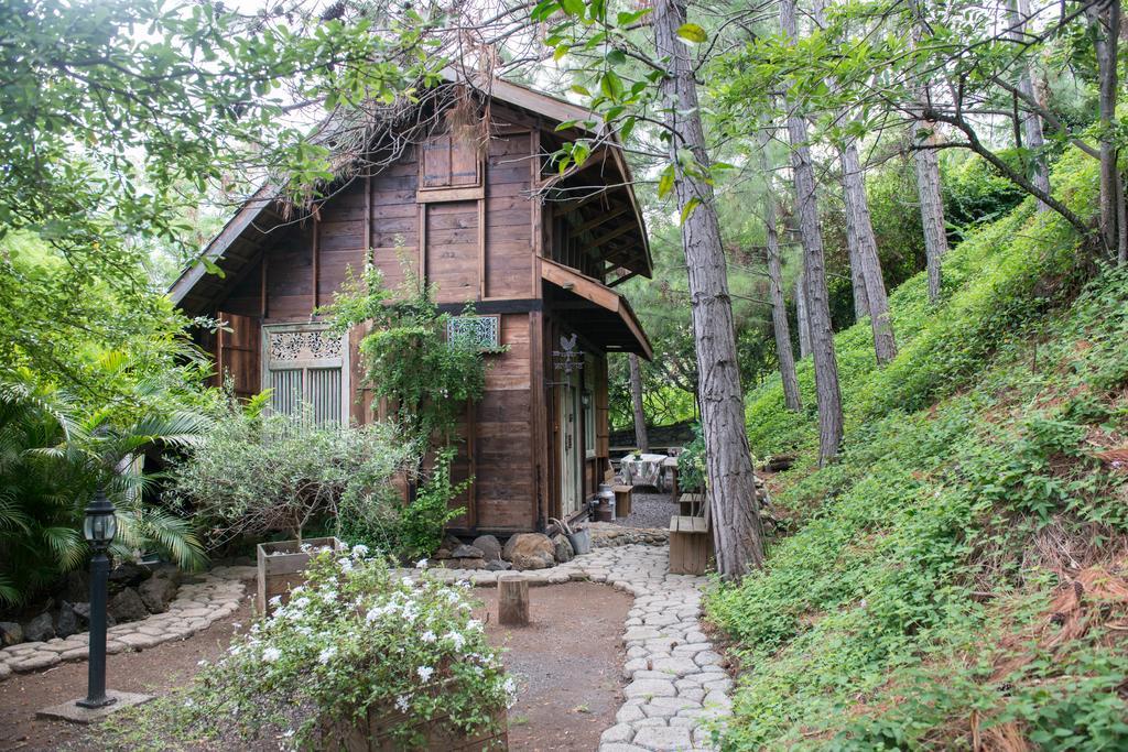 Chalet De Tahiti Punaauia  Zewnętrze zdjęcie