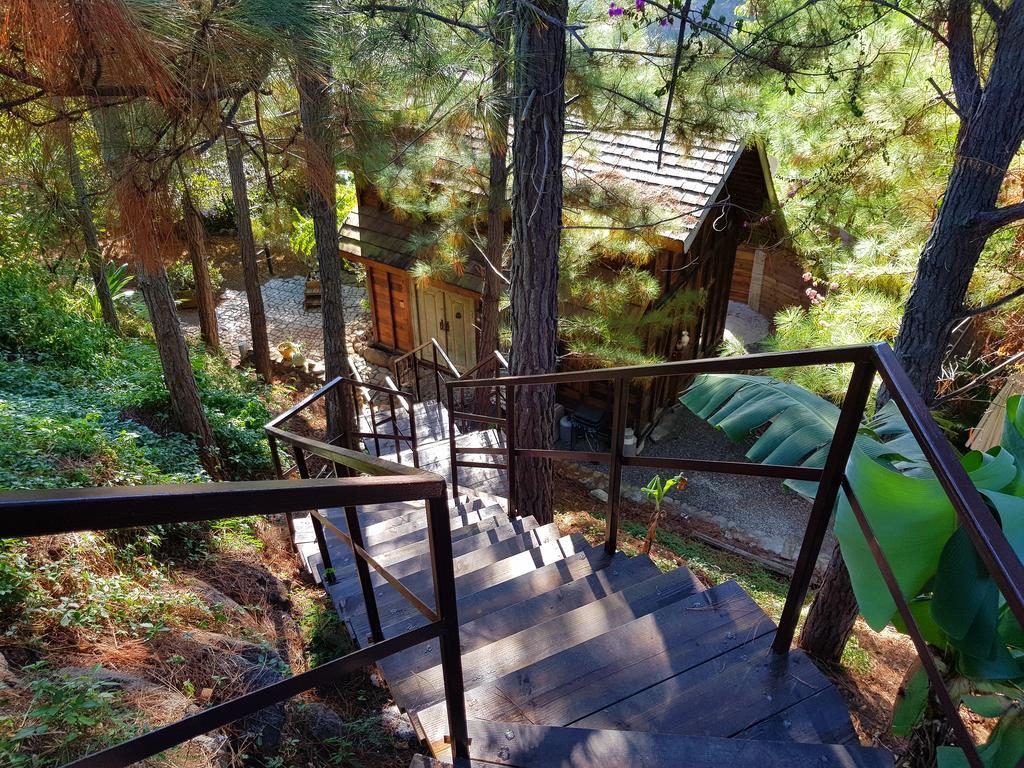 Chalet De Tahiti Punaauia  Zewnętrze zdjęcie