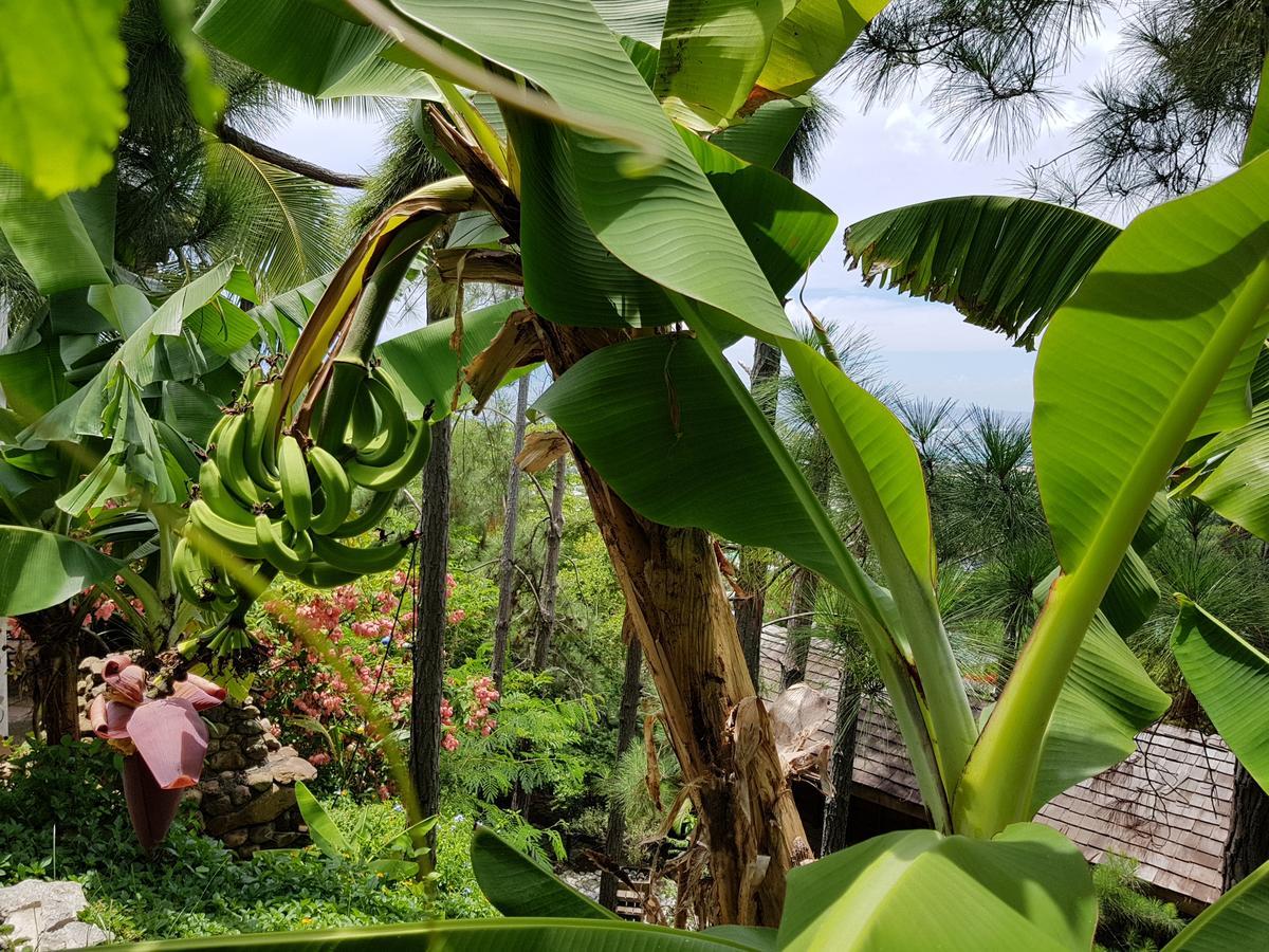 Chalet De Tahiti Punaauia  Zewnętrze zdjęcie
